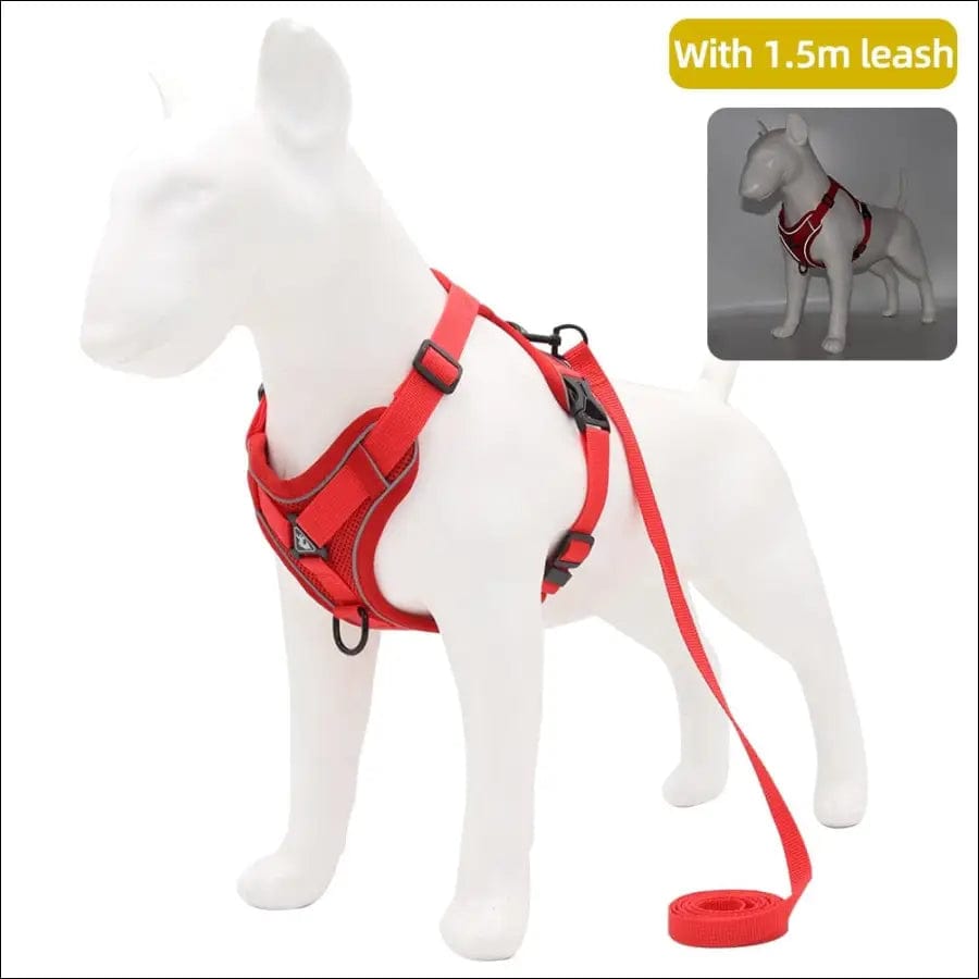 Adjustable Reflective Traction Leash Set - Red / S -