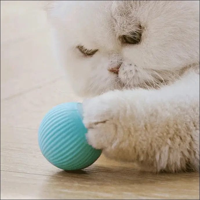 Cat Catch - Pelota inteligente para mascotas - 68322253-azul